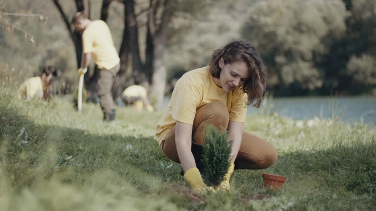 Best Lawn Watering Services  in Wilder, ID